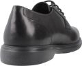 GEOX Ottavio Schoenen Zwart Man - Zwart