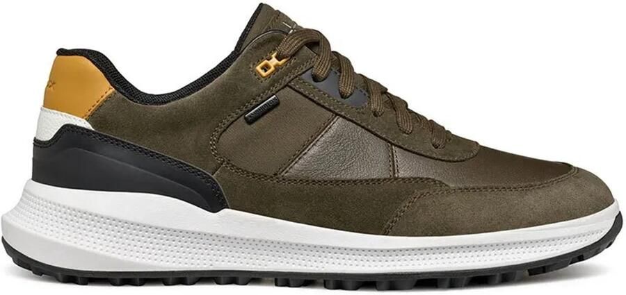 GEOX Pg1x Abx Schoenen Groen Man