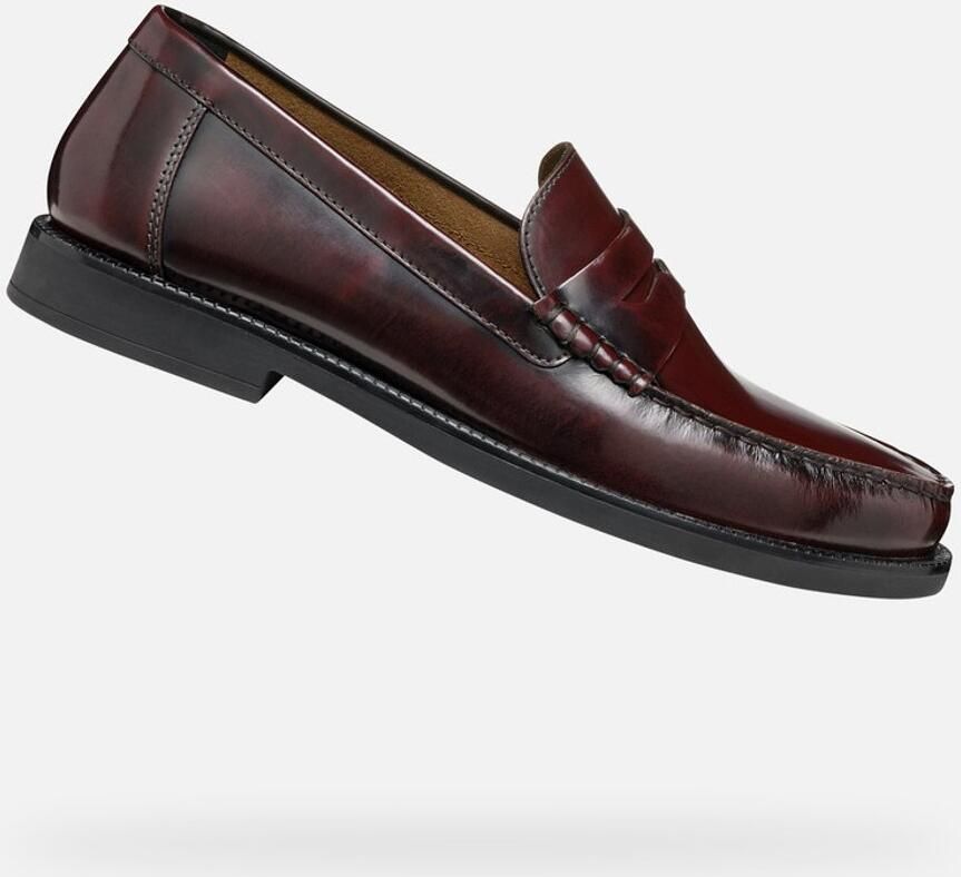 GEOX RECANATI HEREN Veterschoenen BORDEAUX