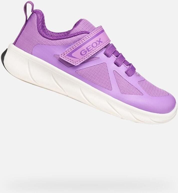 GEOX Sneakers