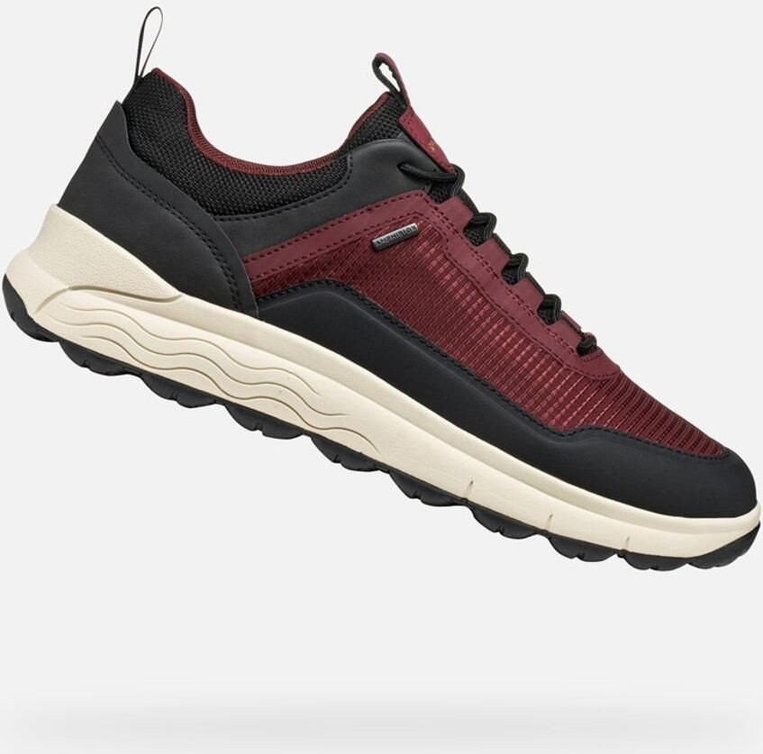 GEOX SPHERICA 4X4 ABX HEREN Sneakers BORDEAUX