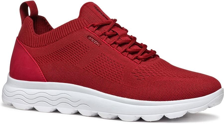 Geox Sneakers met vetersluiting model 'SPHERICA'