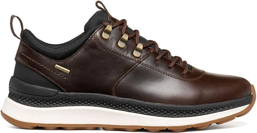 GEOX Spherica Actif X2 Schoenen Bruin Man
