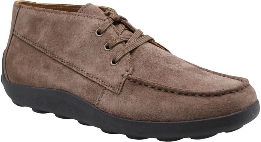 GEOX Spherica E A Schoenen Bruin Man