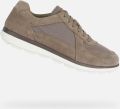 GEOX SPHERICA E HEREN Sneakers TAUPE - Taupe