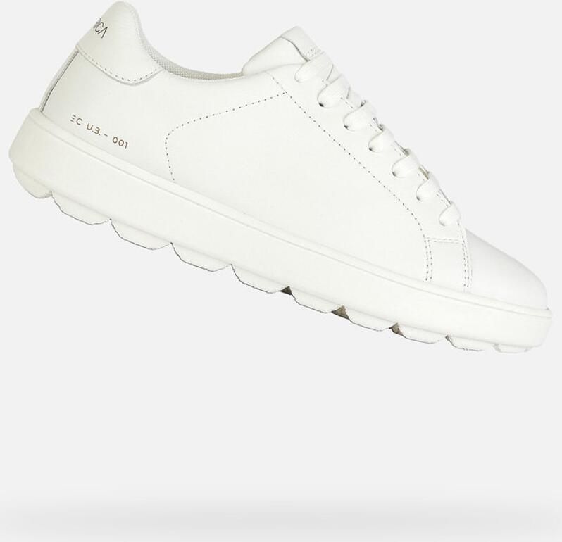 Geox Sneakers D SPHERICA ECUB-1 B in schone look vrijetijdsschoen halfschoen veterschoen
