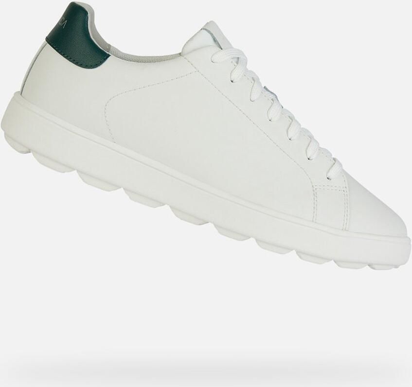 GEOX SPHERICA ECUB-1 HEREN Sneakers WIT DONKERGROEN