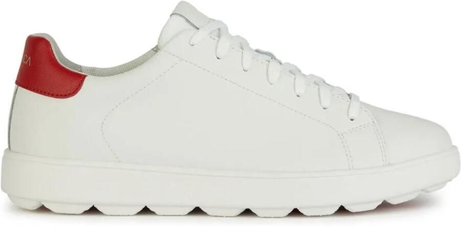 GEOX Spherica Ecub-1 Schoenen Wit Man
