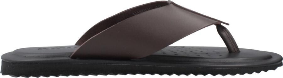 GEOX U ERICE Bruin