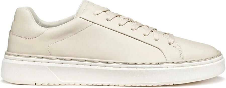 GEOX Zackerty Schoenen Beige Man