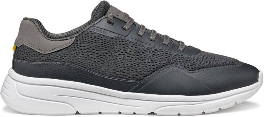GEOX Klaiver Schoenen Grijs Man