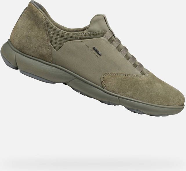 GEOX NEBULA HEREN Sneakers SALIEGROEN