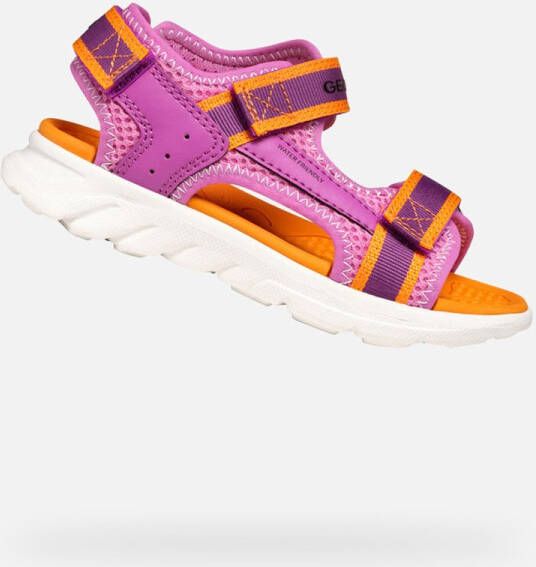 GEOX SANDAAL AIRADYUM TIENERS Sandalen FUCHSIA ORANJE