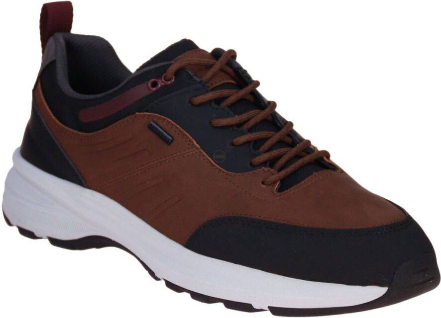 GEOX SENALES ABX HEREN Sneakers COGNA ZWART