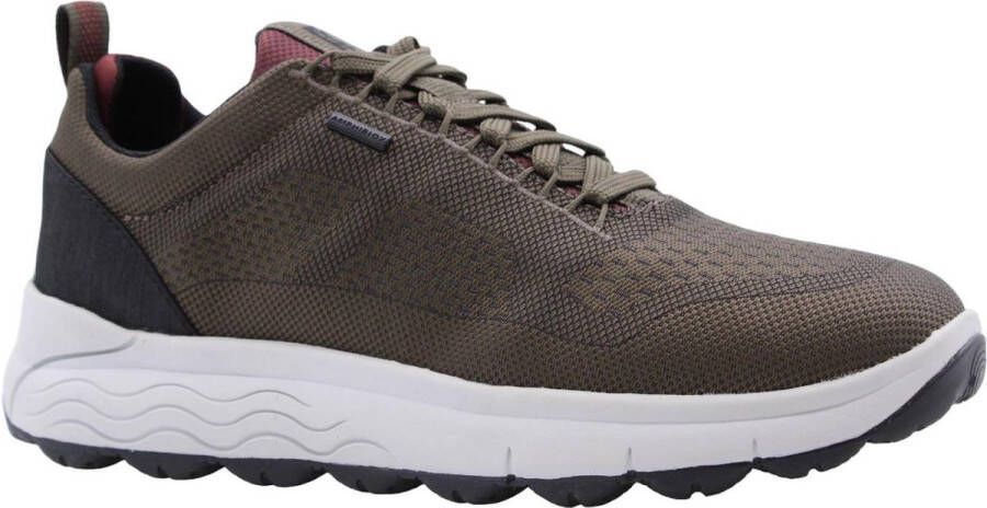 GEOX Sneaker Groen
