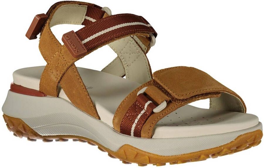 Geox Comfortabele platte sandalen voor vrouwen Brown Dames - Foto 1