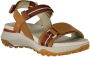 Geox Comfortabele platte sandalen voor vrouwen Brown Dames - Thumbnail 1