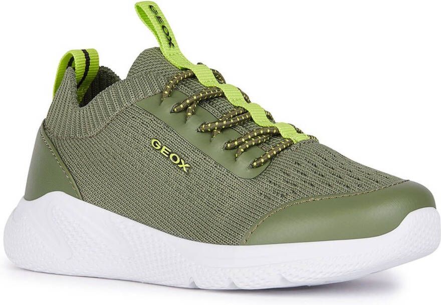 GEOX Sprintye Schoenen Groen