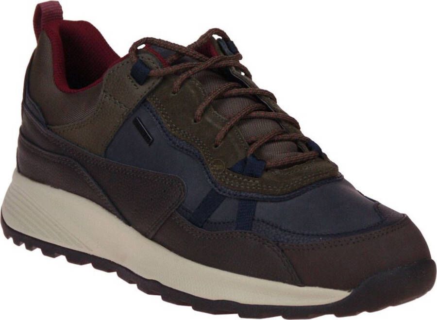 GEOX Terrestre Blauw-Bruine Schoen