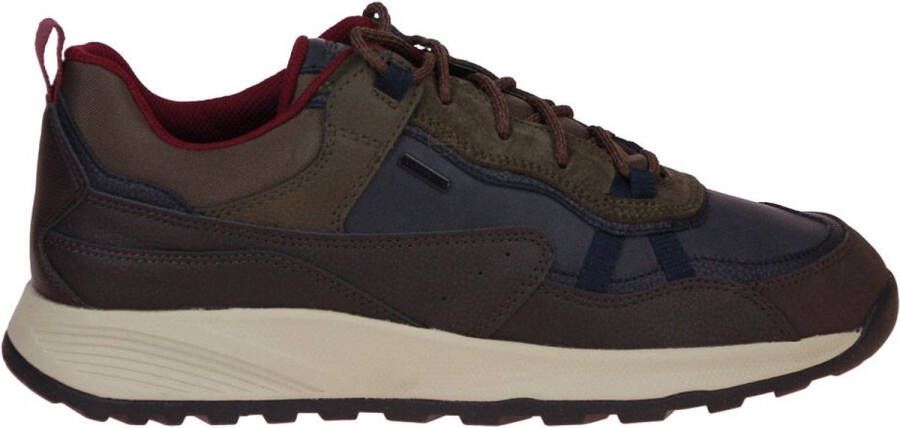 GEOX Terrestre Blauw-Bruine Schoen