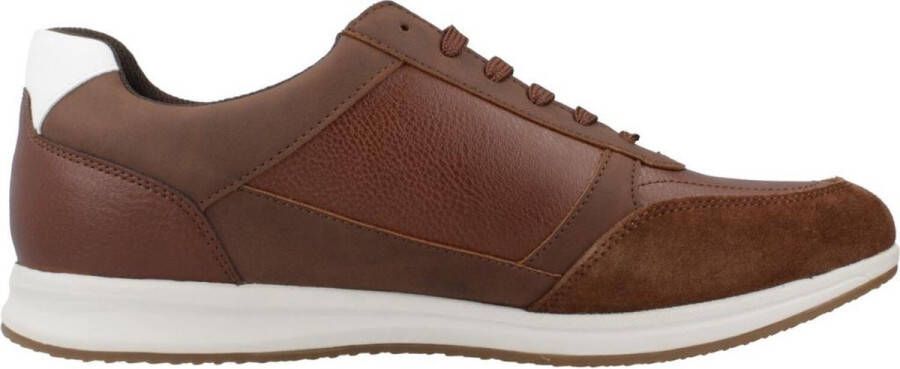 GEOX U AVERY Bruin