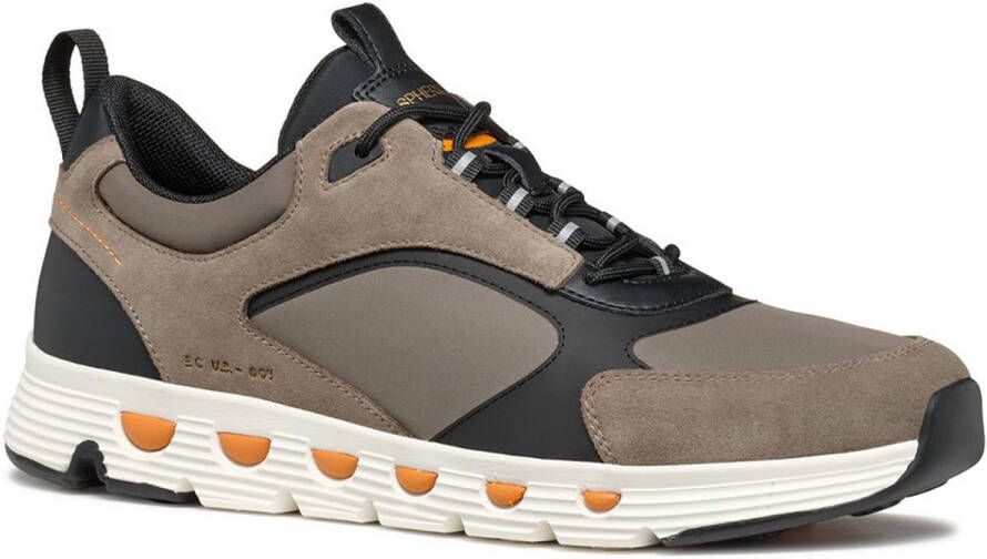 Geox Sneakers met vetersluiting model 'SPHERICA'