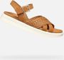 Geox Stijlvolle platte sandalen voor vrouwen Brown Dames - Thumbnail 4