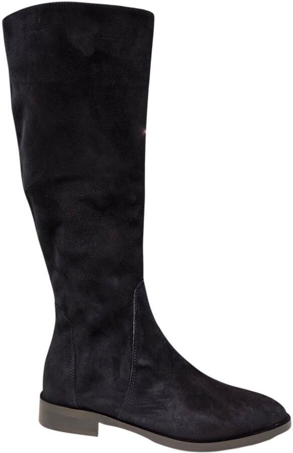 Gianluca Pisati Blauwe Suede Dames Laarzen Blauw