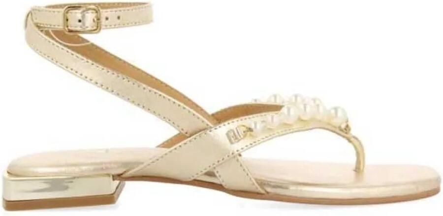 Gioseppo Sandalen Sumpter-sandalen 72365