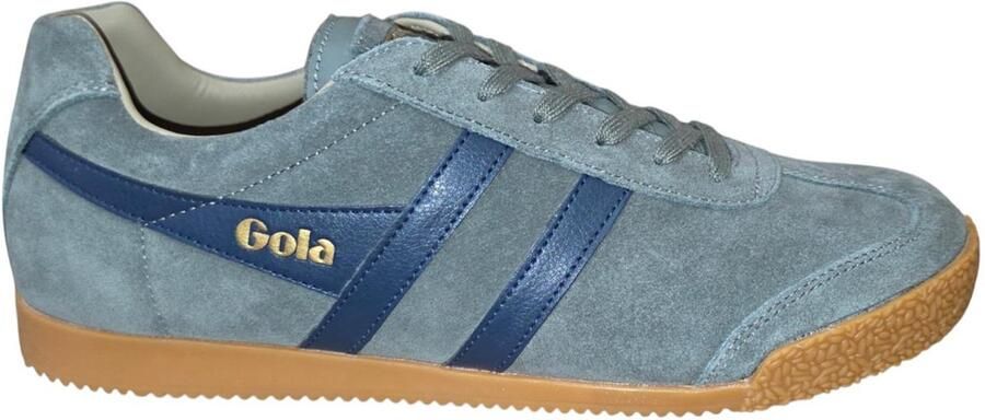 Gola Harrier