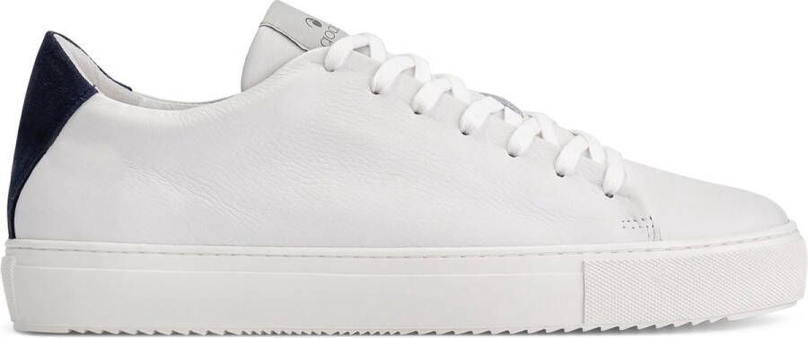 Goosecraft Jason Cupsole Heren Sneakers Wit-Blauw