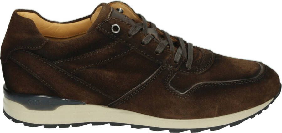 Greve 7243.35~~~~~~~~~~~~~~~~~~~~~~~ Lage sneakersVrije tijdsschoenenHeren sneakers Bruin