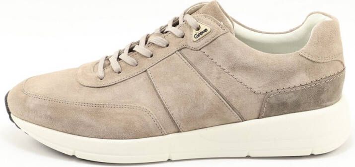 Greve 7286.05 3321 roccia TAUPE