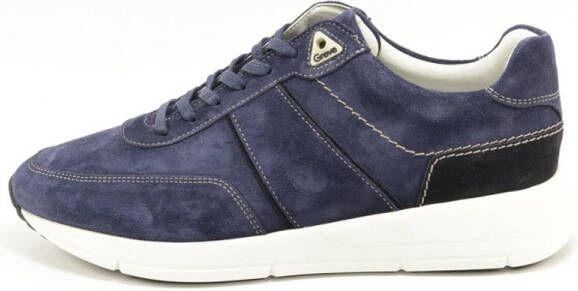 Greve 7286.06 2941 Pilota BLAUW