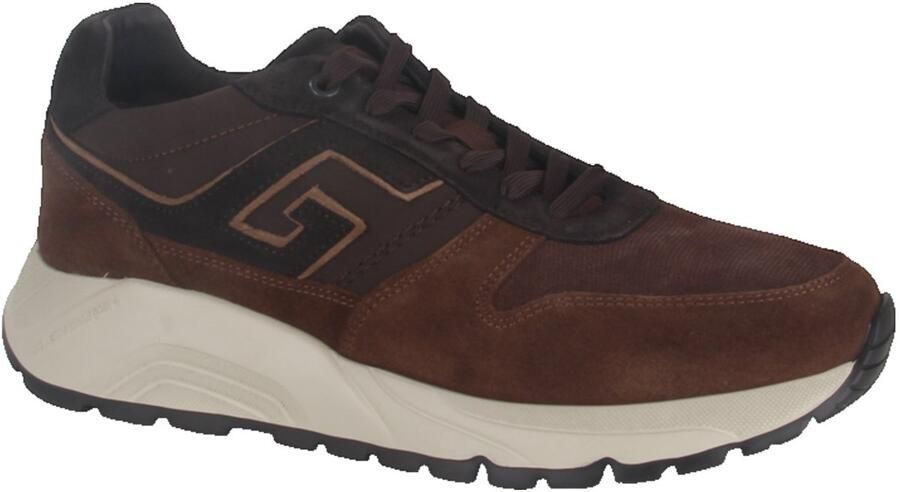 Greve 7276.06-XF Lage sneakersVrije tijdsschoenen Heren sneakers Bruin