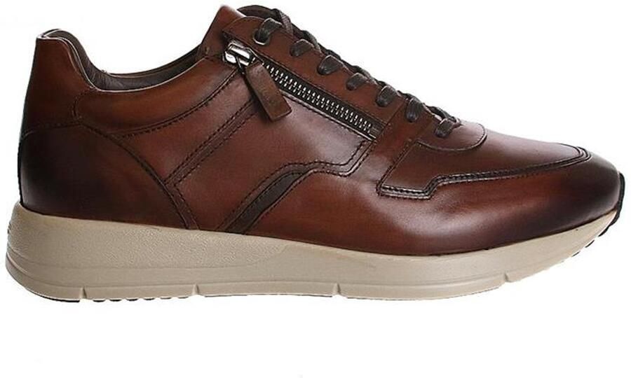 Greve 3284.09 Veterschoenen