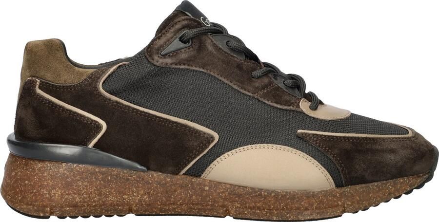 GREVE Lage Sneakers Heren Walker H 7285 Suède Bruin