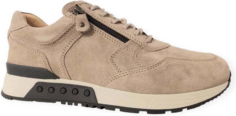 Greve Sneakers Haarlem 4299.19 Roccia Zand Suède Wijdte K