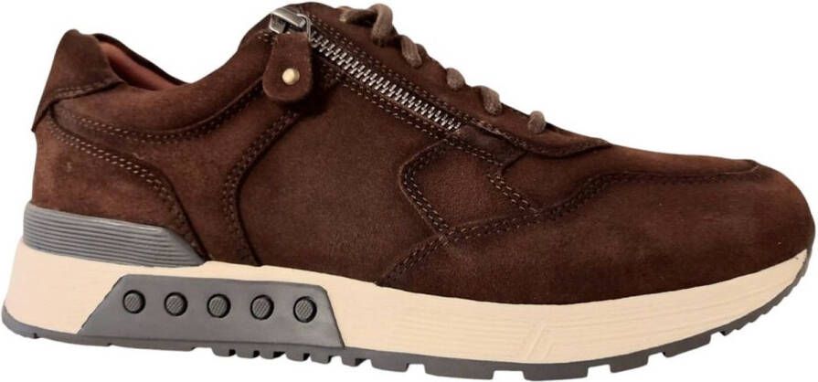Greve Sneakers Haarlem 4299.77-002 3251 Mustang Suéde Wijdte K
