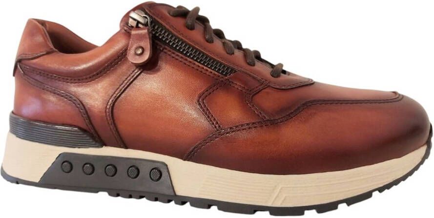 Greve Sneakers Haarlem 4299.77-005 2629 Sequoia Puro Wijdte K