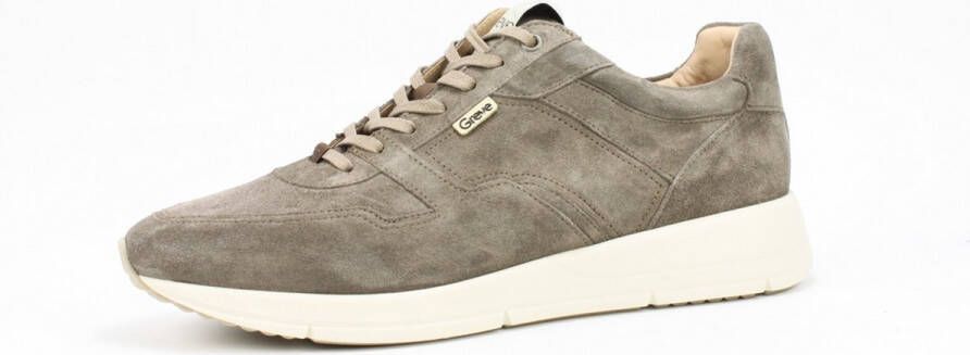 GREVE Lage Sneakers Heren Walker 2346 Maat: 44 Materiaal: Suède Kleur: Bruin