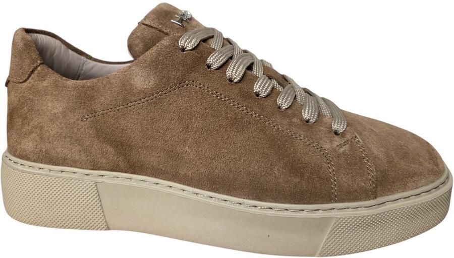 H32 Simplycity Sigaro Suede Sneakers Beige Suede Heren Beige
