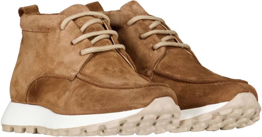 H32 Schoenen Cognac Calais Sneakers Cogna