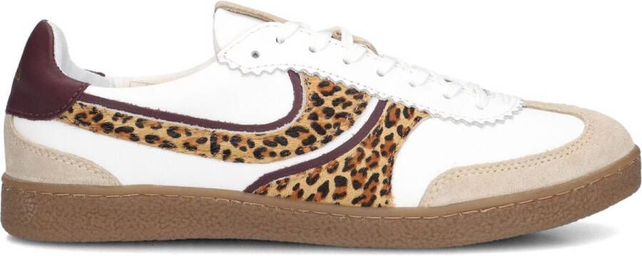 Haboob Charlotte Sneakers Leer Dames Beige