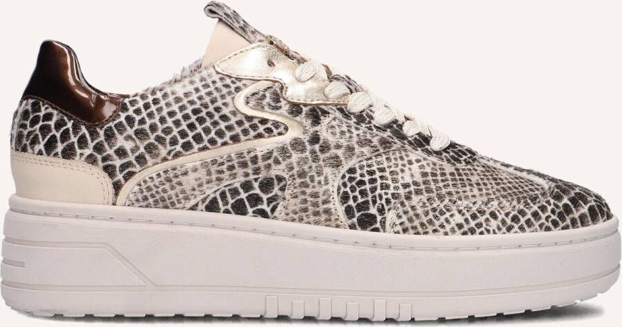 Haboob Lage Sneakers AURELIE Damen Sneaker