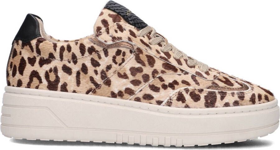 Haboob Lpanemone Sneakers Dames Bruin