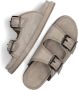 Haboob Grijze Suède Stijlvolle Slippers Gray Dames - Thumbnail 3