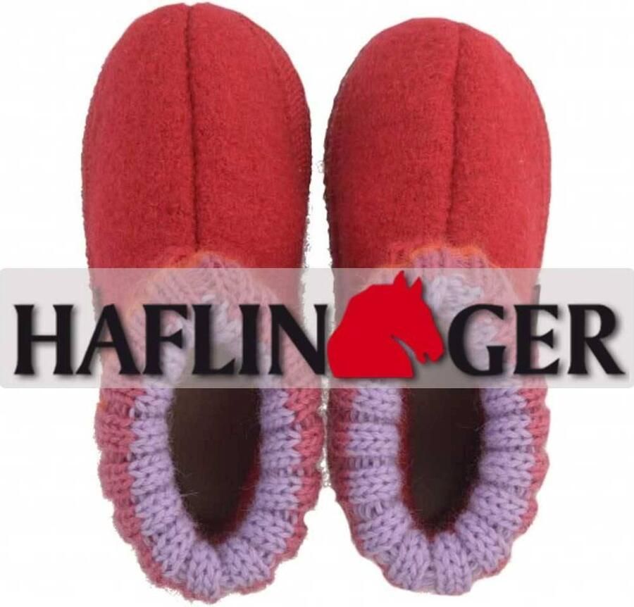 Haflinger 631051 paul z.ro - Foto 2