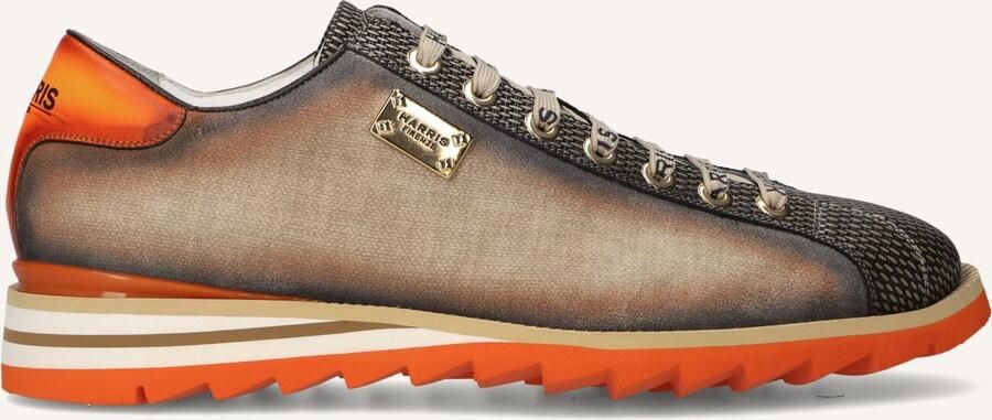 HARRIS Lage Sneakers Heren 2892 Maat: 43 5 Materiaal: Textiel Kleur: Bruin