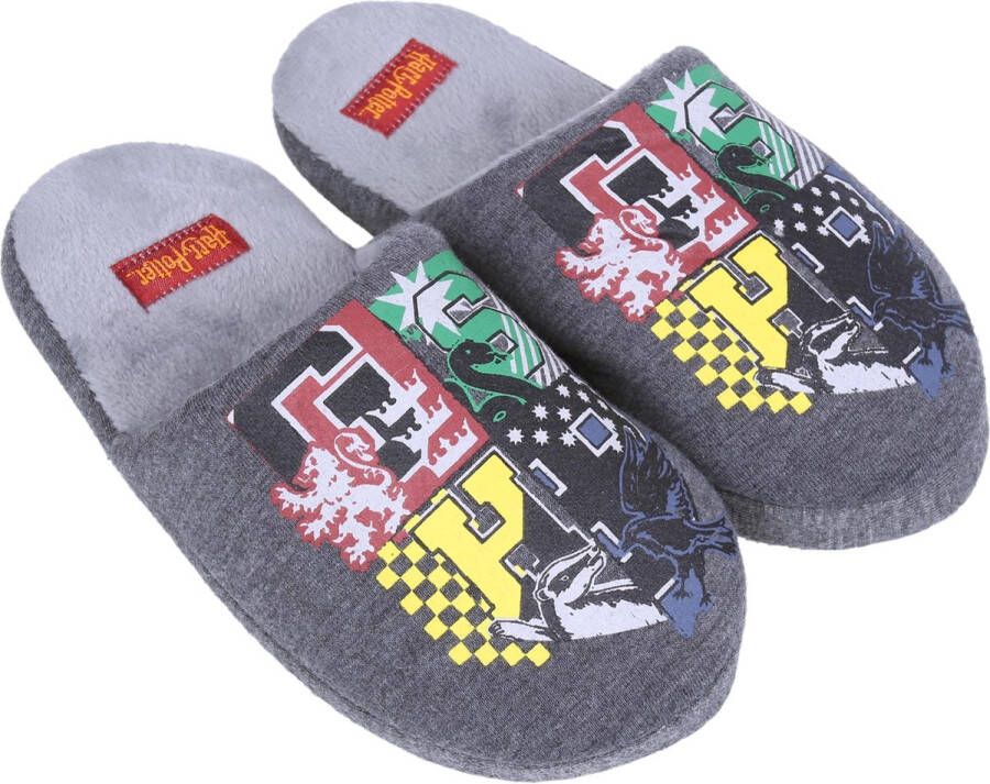 Harry Potter Donkergrijze warme pantoffels met de logo's 29 EU